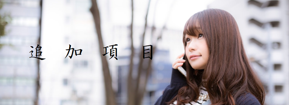 追加項目